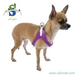 قلاده کتفی ارگو فلکس سبز رنگ (سایز XS) فرپلاست