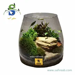 تراریوم کد H717