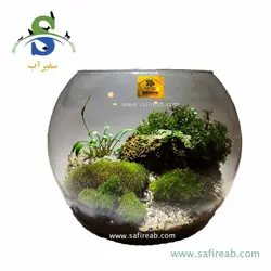 تراریوم کد H718