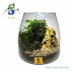 تراریوم کد H716