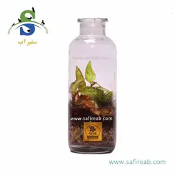 تراریوم کد H713