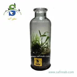 تراریوم کد H712