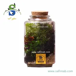 تراریوم کد H709