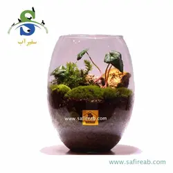 تراریوم کد H707