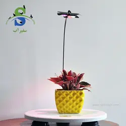 نور و استند گیاه مدل گلبرگی کد DN602