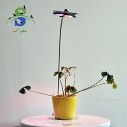 نور و استند گیاه مدل گلبرگی کد DN602