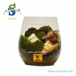 تراریوم کد H705