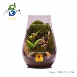 تراریوم کد H704