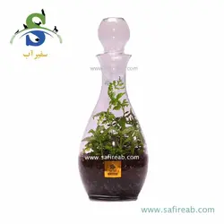 تراریوم کد H703