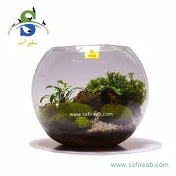 تراریوم کد H702