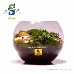 تراریوم کد H708