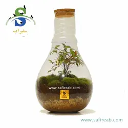 تراریوم کد H701