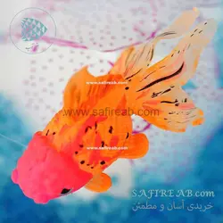 دکوری ماهی قرمز یا گلدفیش متحرک شبرنگ