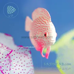 دکوری ماهی دیسکس متحرک شبرنگ