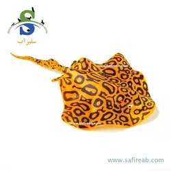 دکوری سفره ماهی متحرک شبرنگ