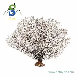 درختچه طبیعی