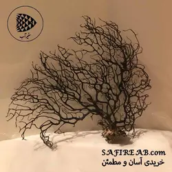 درختچه طبیعی