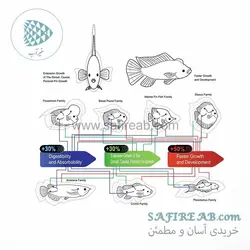 فیلتر ضد سموم هایدرا نانو پلاس کد IF-105 اوشن فری