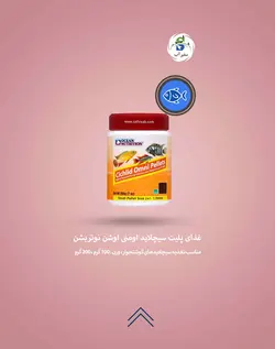 غذای پلیت سیچلاید اومنی اوشن نوتریشن