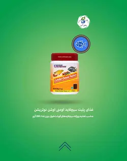 غذای پلیت سیچلاید اومنی اوشن نوتریشن
