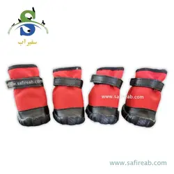 کفش چسبی برزنتی سگ و گربه (سایز 3 ، 4) چانگ لیر