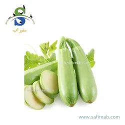 بذر کدو سبز هیبرید الیکس کی سی