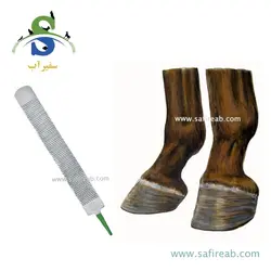 سوهان نعل بندی اسب اکسل لجند