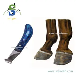 رنت نعل بندی Loshad اسب رخی