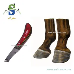 رنت نعل بندی Marathon اسب رخی