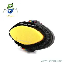 برس ابردار بدن اسب