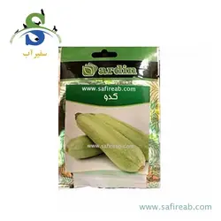 بذر کدو مسمایی آردین