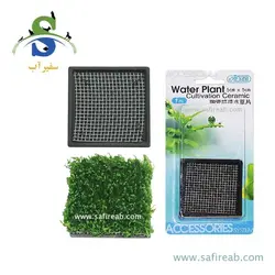 صفحه سرامیکی کشت گیاه مربعی (5*5 سانتی متر) ایستا