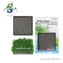 صفحه سرامیکی کشت گیاه مربعی (6.5*6.5 سانتی متر) ایستا