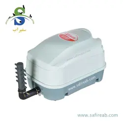 پمپ هوا دو خروجی AT-704 آتمن