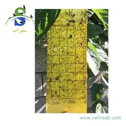 سمپاش گیاهان دیمارتینو مدل GARDEN