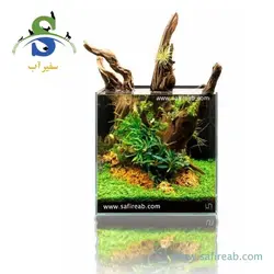 آکواریوم مسابقاتی شیشه کریستال مدل مربع یونیک