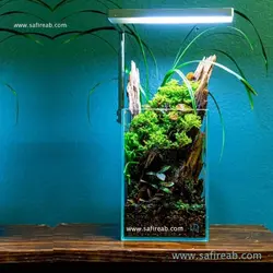 آکواریوم مسابقاتی شیشه کریستال مدل مربع یونیک