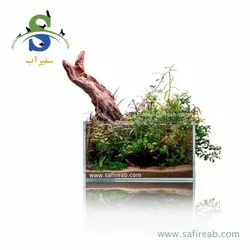 آکواریوم مسابقاتی شیشه کریستال مدل مکعب یونیک