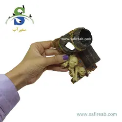 دکوری آکواریوم طرح بشکه شکسته، صندوقچه و اسکلت