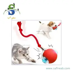 توپ هوشمند گربه کریزی کت چانگ لیر