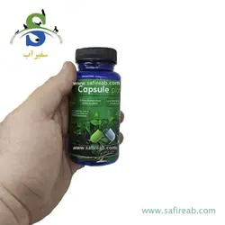 کپسول قرص باکتری فعال آکواریوم گیاهی برگچین