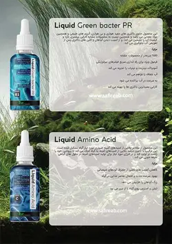 محلول آمینو اسید (100 میل) برگچین