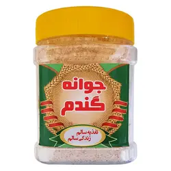جوانه گندم - ۲۰۰ گرم