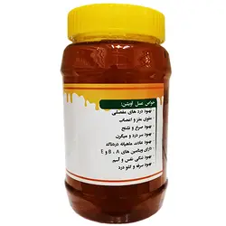 عسل آویشن - ۹۰۰ گرم