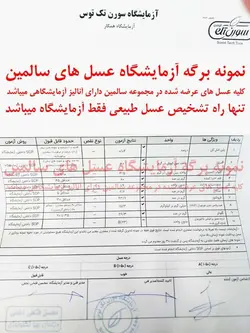 عسل چند گیاه - ۲۰ کیلو