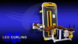 دستگاه بدنسازی Energyfull مدل پشت پا بادی استرانگ BMW