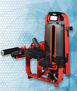 دستگاه بدنسازی Energyfull مدل پشت پا ماشین تکنوجیم