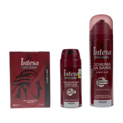 پک بهداشتی آقایان اینتسا مدل Woody Bag بسته 3 عددی