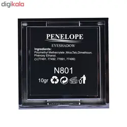 پالت سایه چشم پنه لوپه شماره N801
