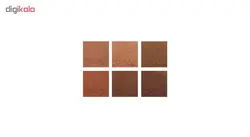 رژگونه پارس پلادیس مدل Promise شماره  106